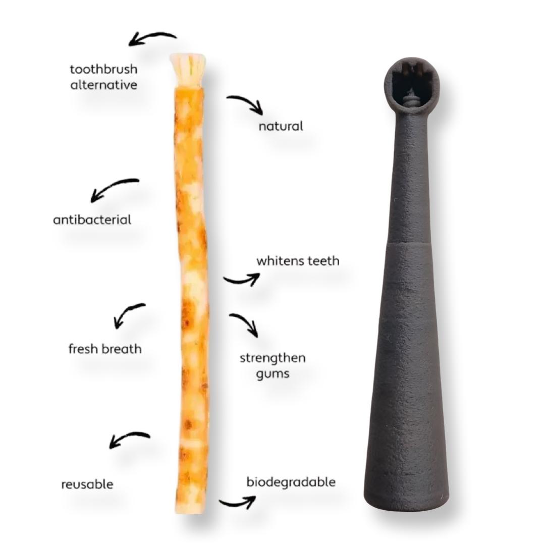 Miswakk toothbrush handle grey