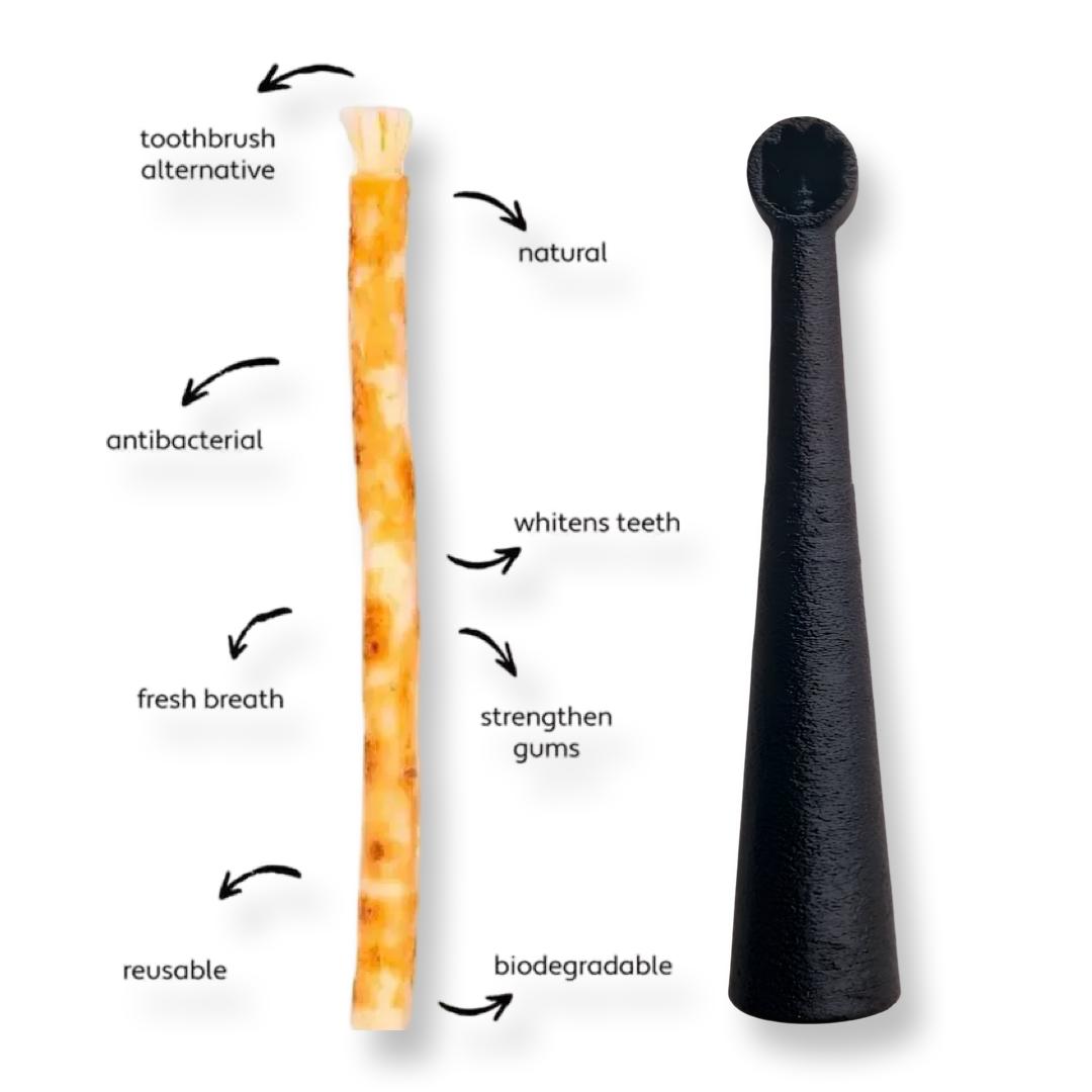 Miswakk toothbrush handle black